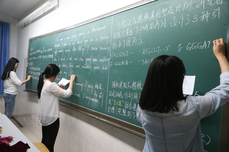 我校举行青年教师板书大赛