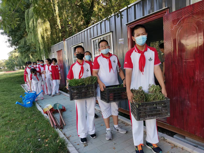 北京市第二十中学“李时珍班”开展中草药种植活动