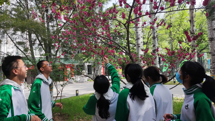 开五感之花，品彩色春天——北京市第二十中学心理教研室开展正念赏春课