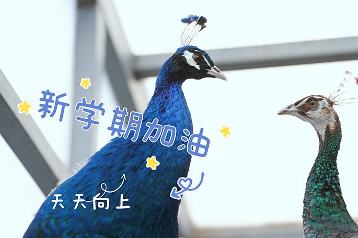 校园春暖，萌宠盼你归来